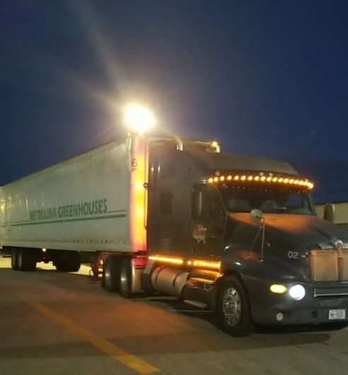 Gotta Go Truckin semi and trailer lit up at night