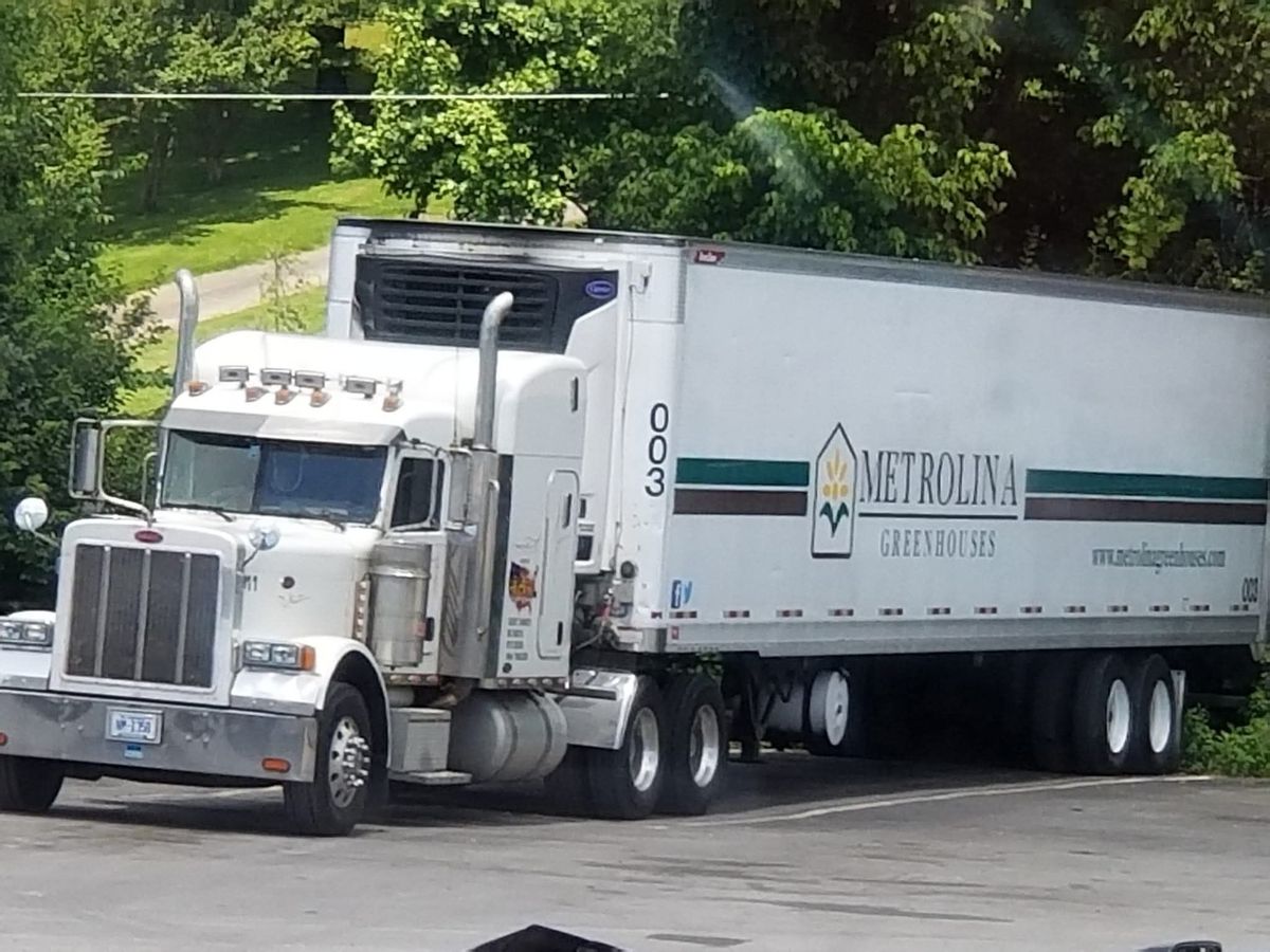 White Peterbilt pulling a white refrigerated trailer, parked by trees
